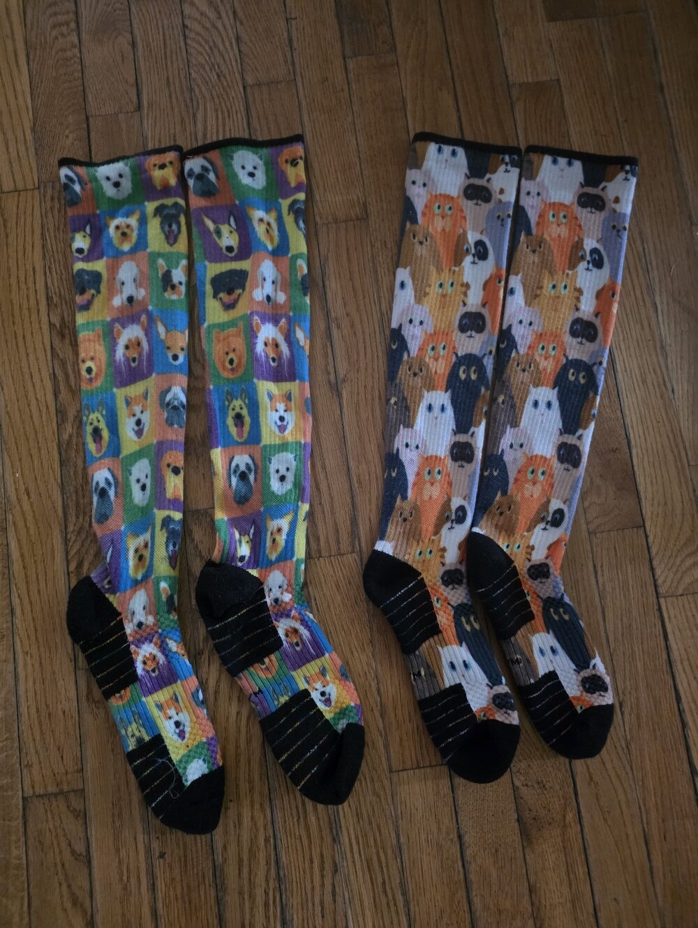 Cat & Dog Lot Viasox Compression Socks. Worn Once!